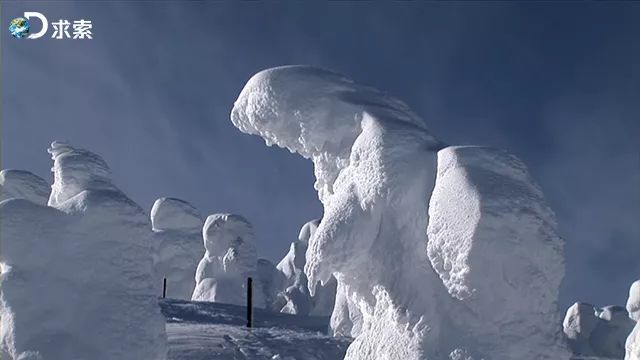 美国多地遭遇“湖泊效应”带来的暴风雪 